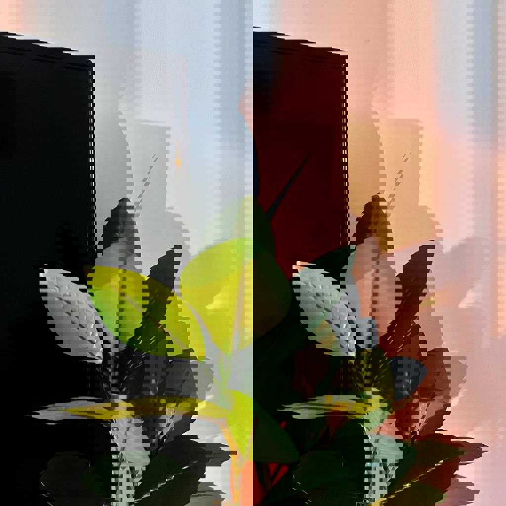 Комплект искусственных растений + горшки