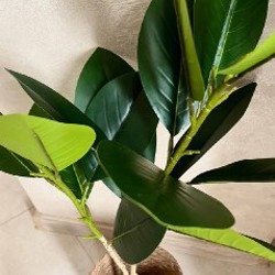 Комплект искусственных растений + горшки - фото 2