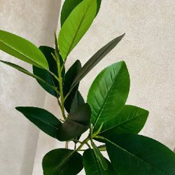 Комплект искусственных растений + горшки - фото 3