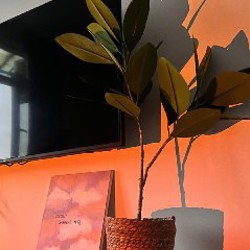 Комплект искусственных растений + горшки - фото 7