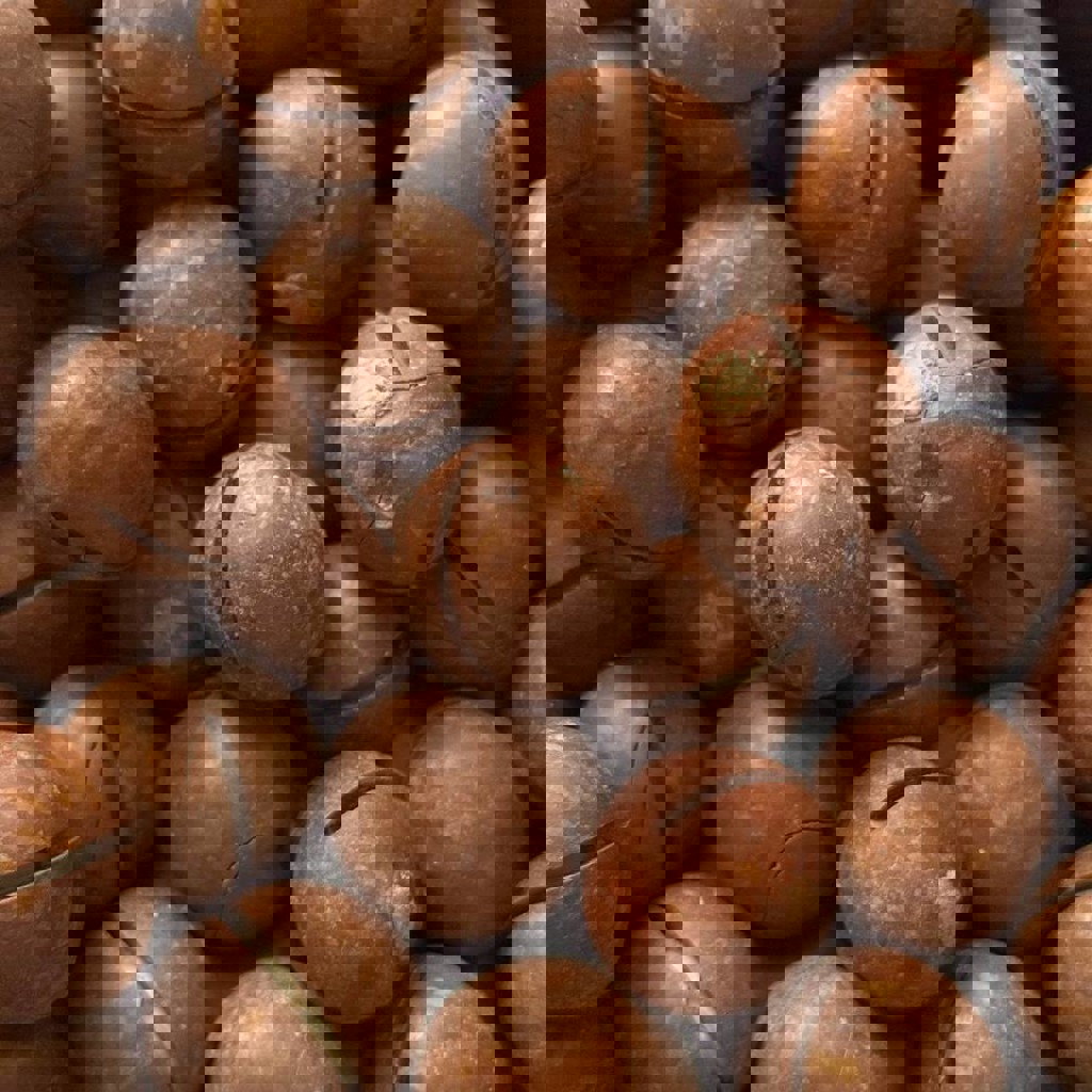 Орехи макадамия