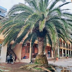 Гостиница в Квариати - фото 7