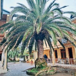 Гостиница в Квариати - фото 8