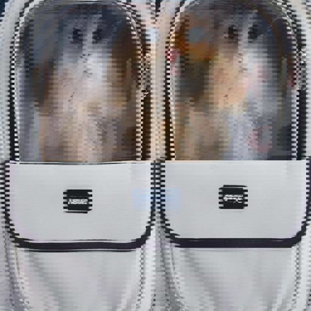 Рюкзак-переноска