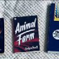 Сумка ручная кладь - фото 5