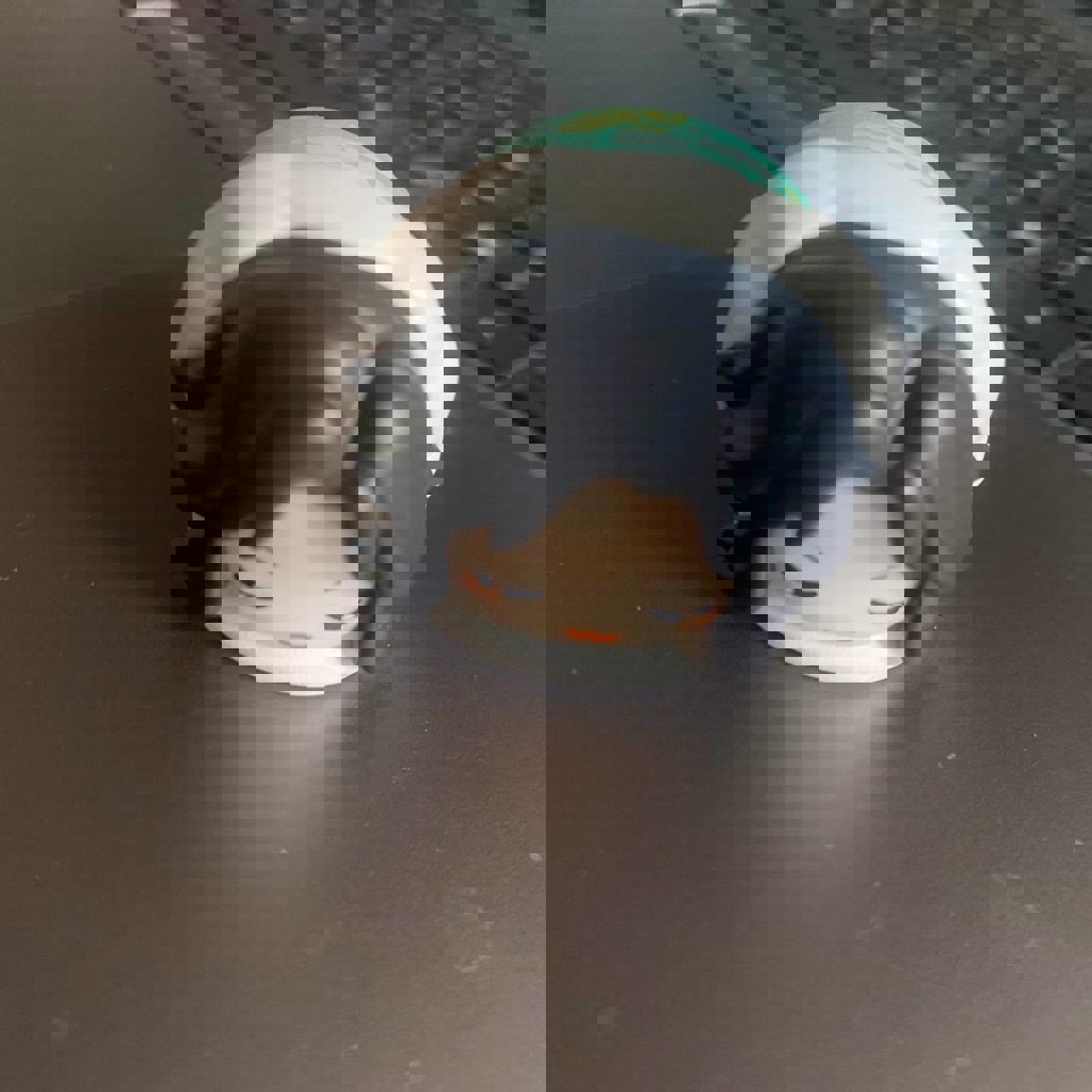 Линвэнь с уставшей мордочкой