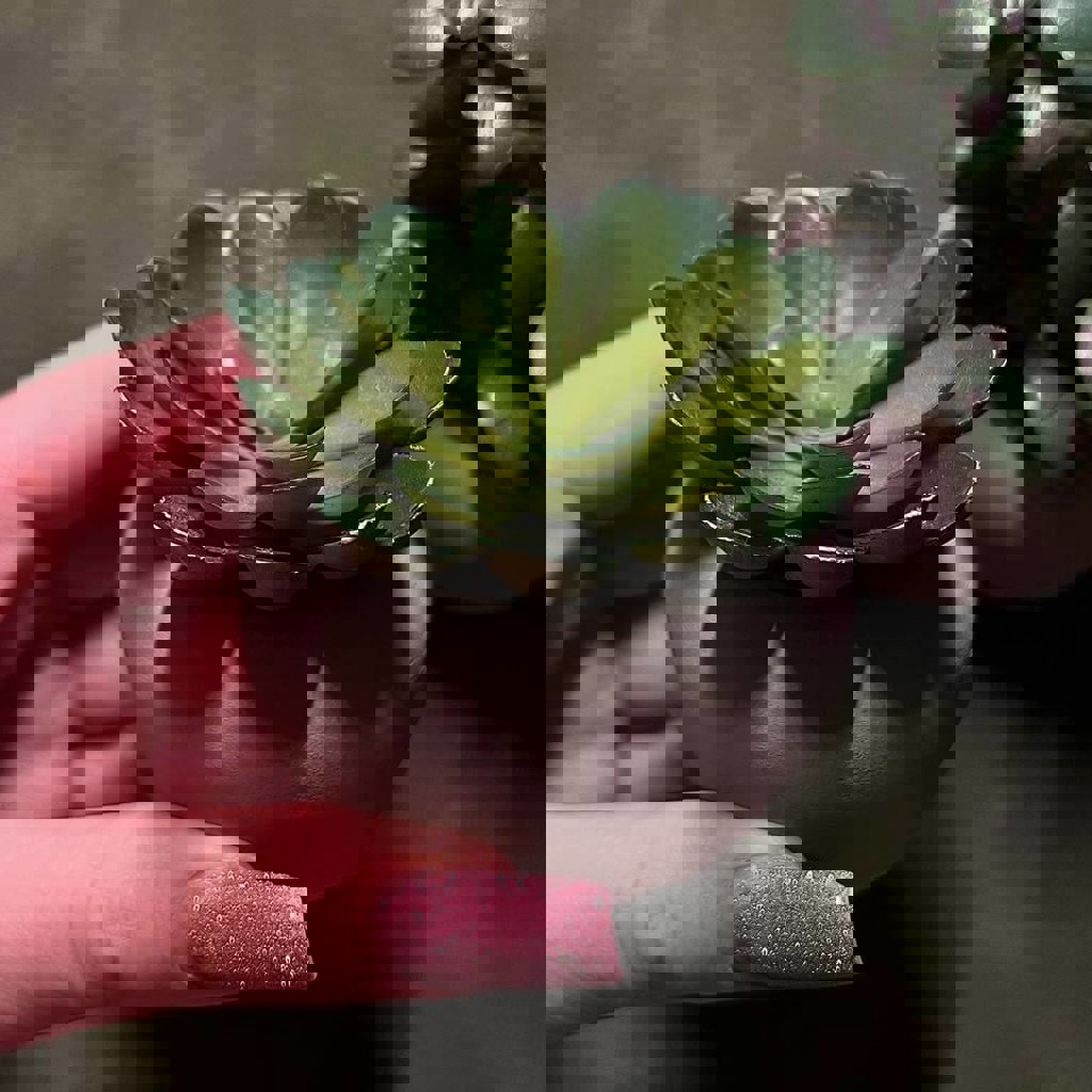 Декоративные цветочки