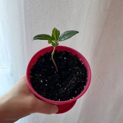 Платье - фото 5