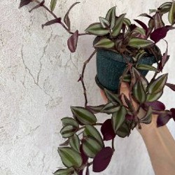 Платье - фото 9