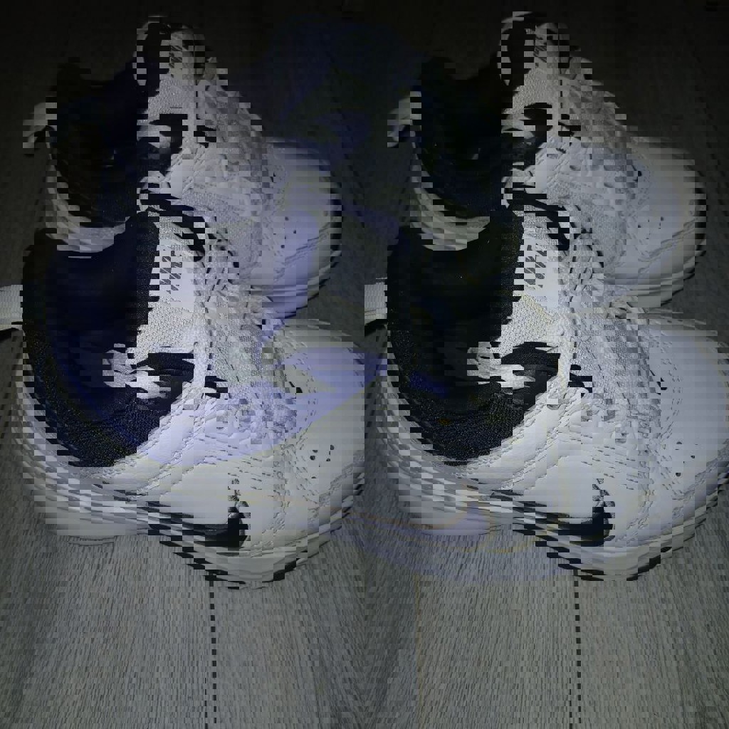 Кроссовки Nike DJ1196-100