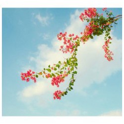 Fujifilm X-Pro3 Dura Black - фото 6