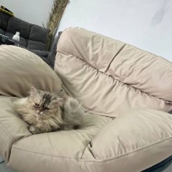 Кофеварка - фото 2