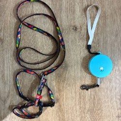 Ошейник - фото 5