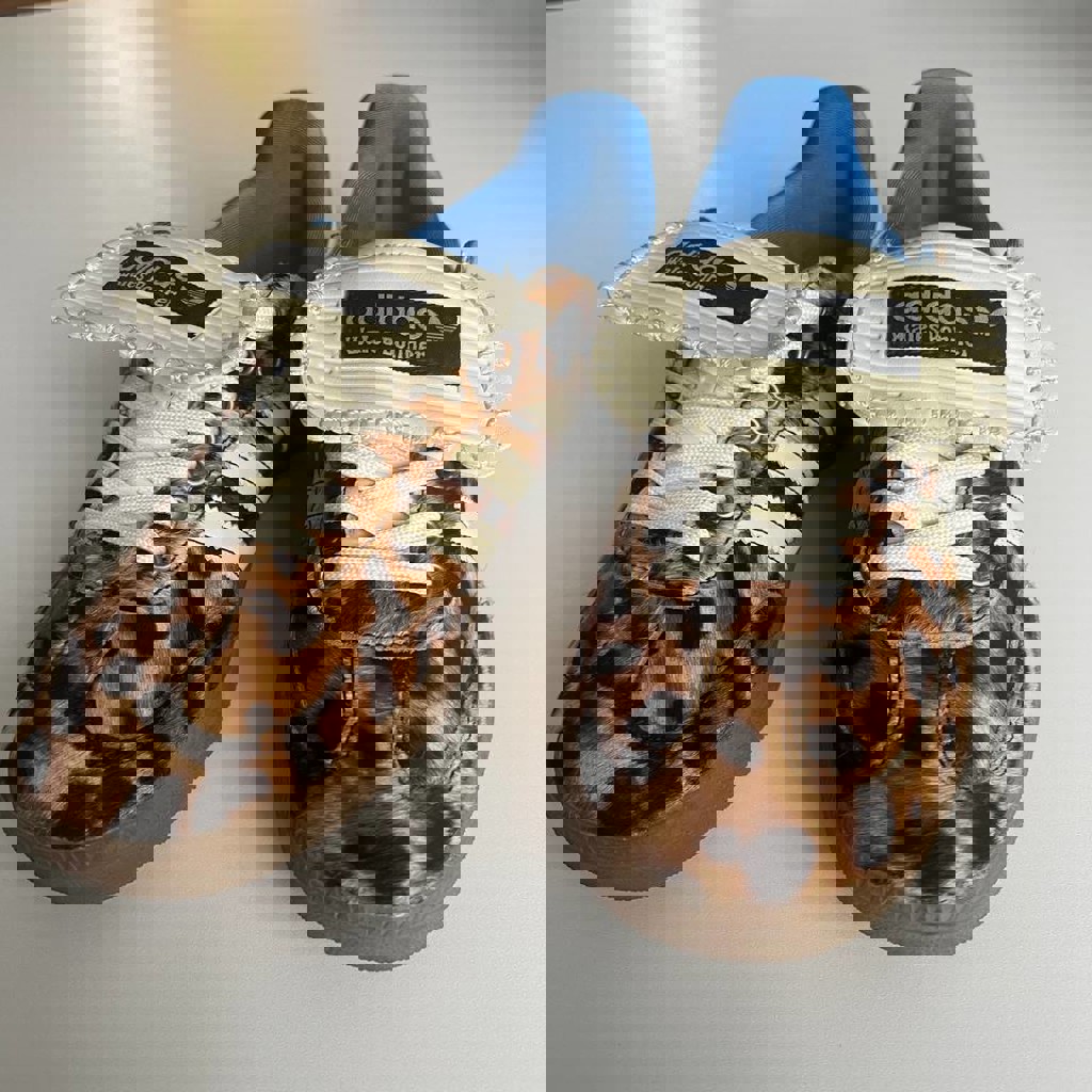 Кроссовки Adidas Wales Bonner