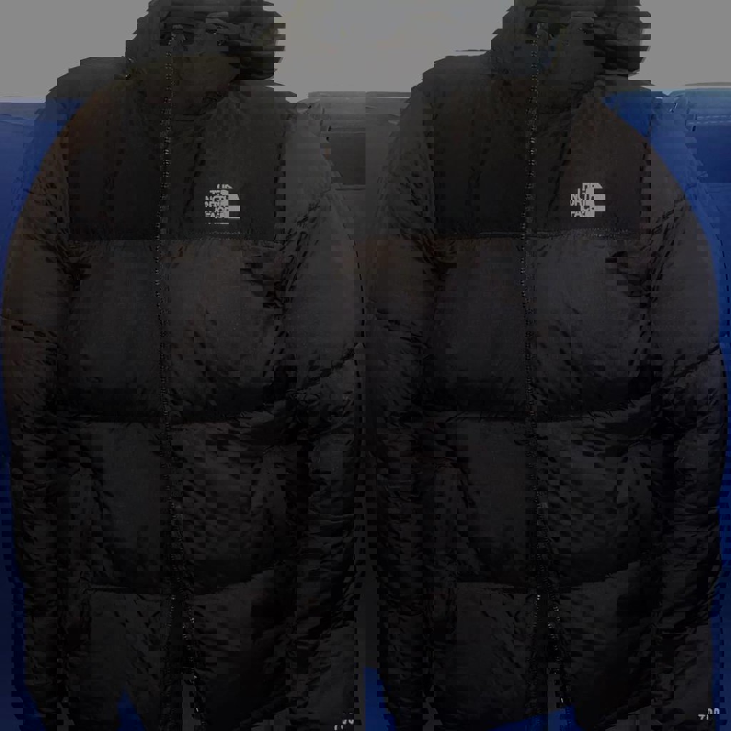 Оригинальная зимняя мужская куртка THE NORTH FACE