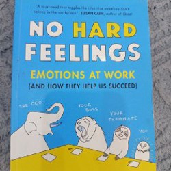 No hard feelings emotions at work (Eng) - фото 5