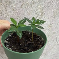 Мягкая игрушка - фото 7