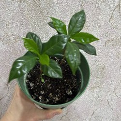 Мягкая игрушка - фото 8