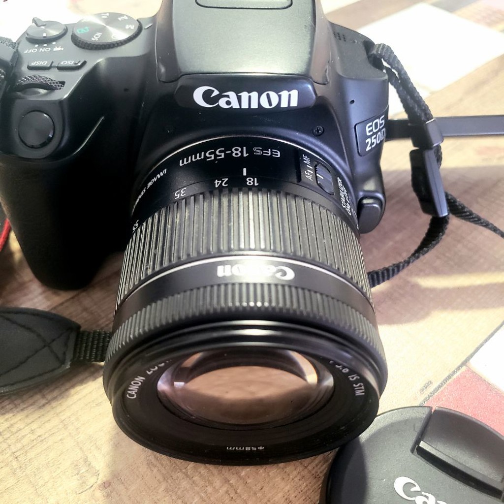 Зеркальный фотоаппарат Canon 250D