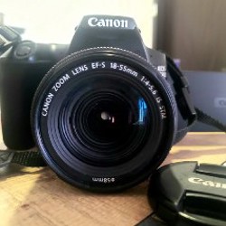 Зеркальный фотоаппарат Canon 250D - фото 2