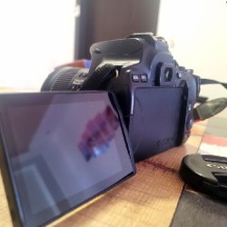 Зеркальный фотоаппарат Canon 250D - фото 3