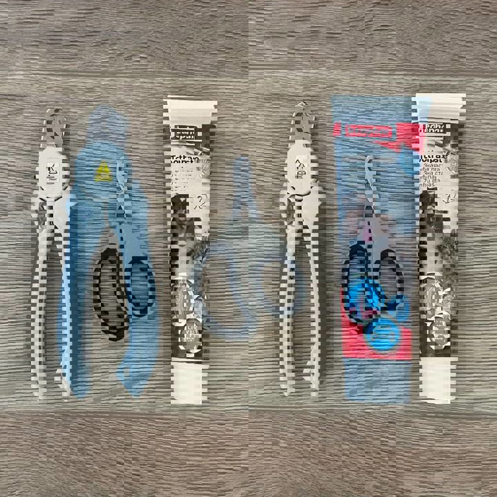 Рюкзак born to be 3.2