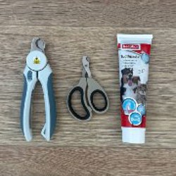 Рюкзак born to be 3.2 - фото 1