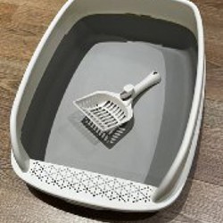 Рюкзак born to be 3.2 - фото 2