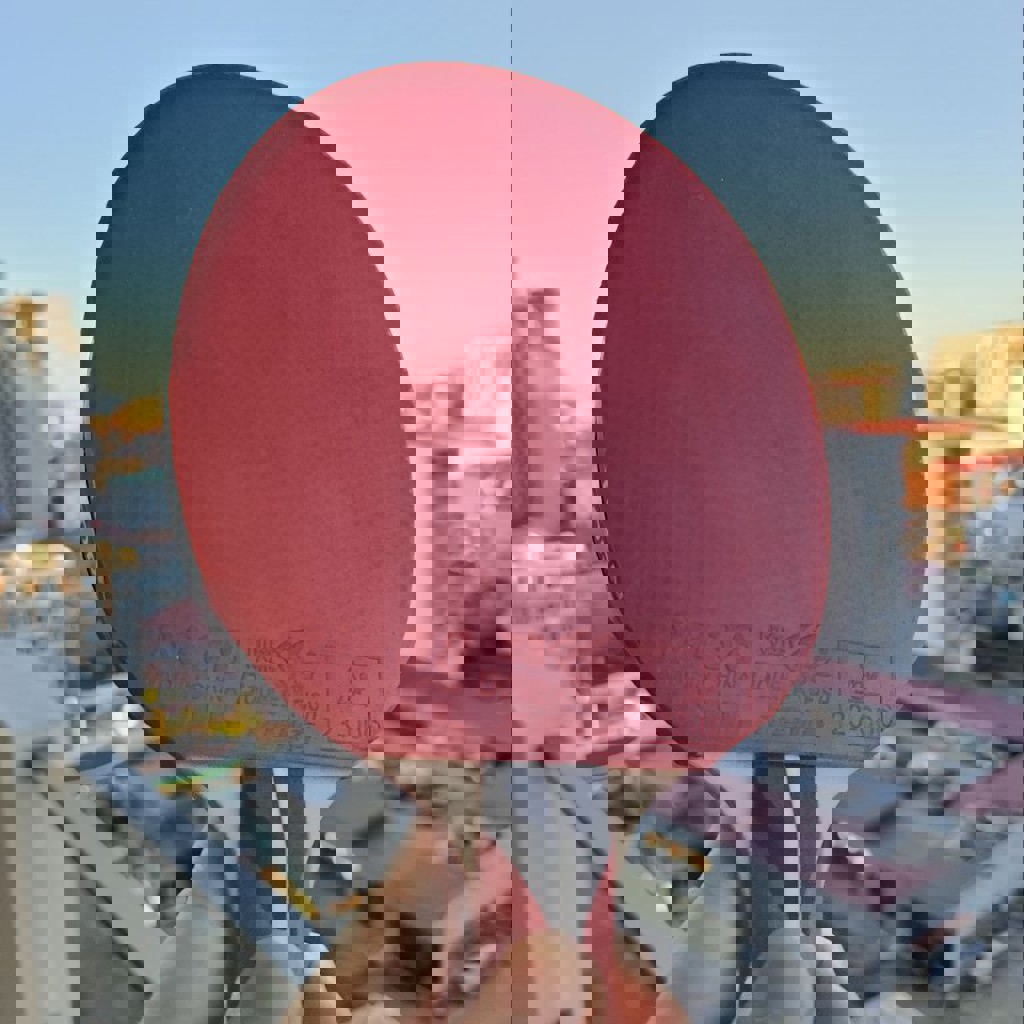 Ракетка для настольного тенниса TORNEO