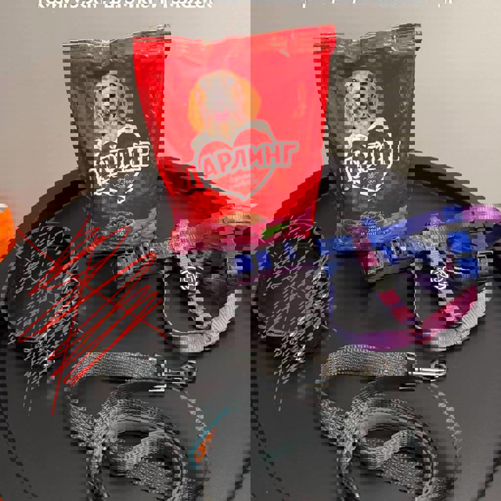 Набор для плавания