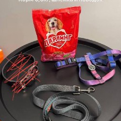 Набор для плавания - фото 1