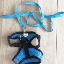 Шлейка для собак - фото 8