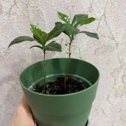 Платья - фото 5