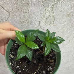 Платья - фото 6