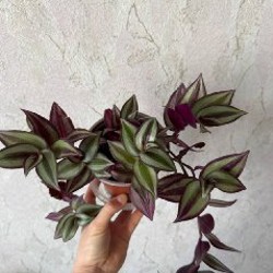 Платья - фото 7