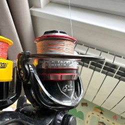 MAXIMUS resident 4-15 - фото 2