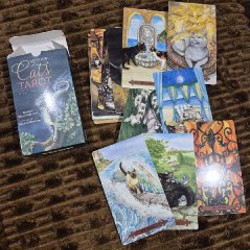 Mythical Cats Tarot - фото 1