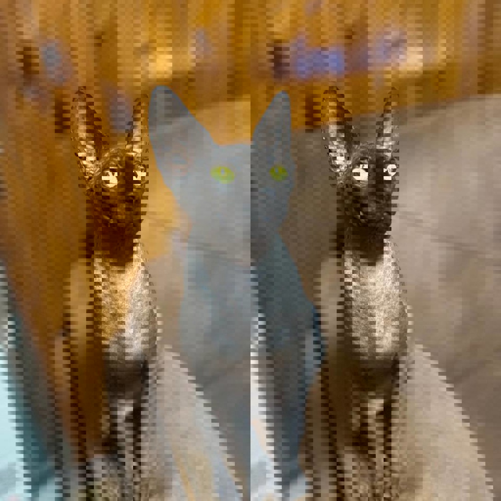 Девочка-щенок