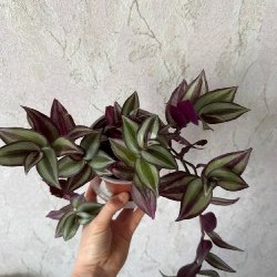 Платье - фото 6