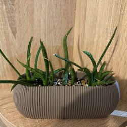 Плечики бархатные - фото 1