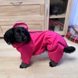 Комбинезон-дождевик для собаки - фото 9