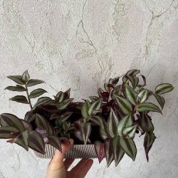 Мягкие игрушки - фото 5