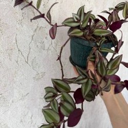 Мягкие игрушки - фото 7