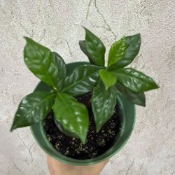 Мягкие игрушки - фото 8