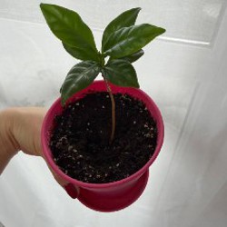 Мягкие игрушки - фото 9