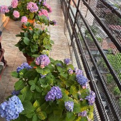 Стеклянное блюдо с крышкой для тортов или сыров - фото 9