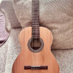 Чехол для гитары - фото 1