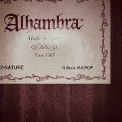 Чехол для гитары - фото 2