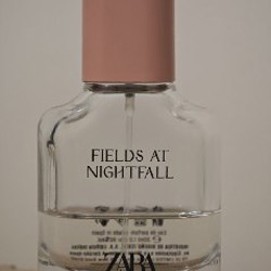 Zara - fields at nightfall - фото 1