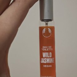 Zara - fields at nightfall - фото 2